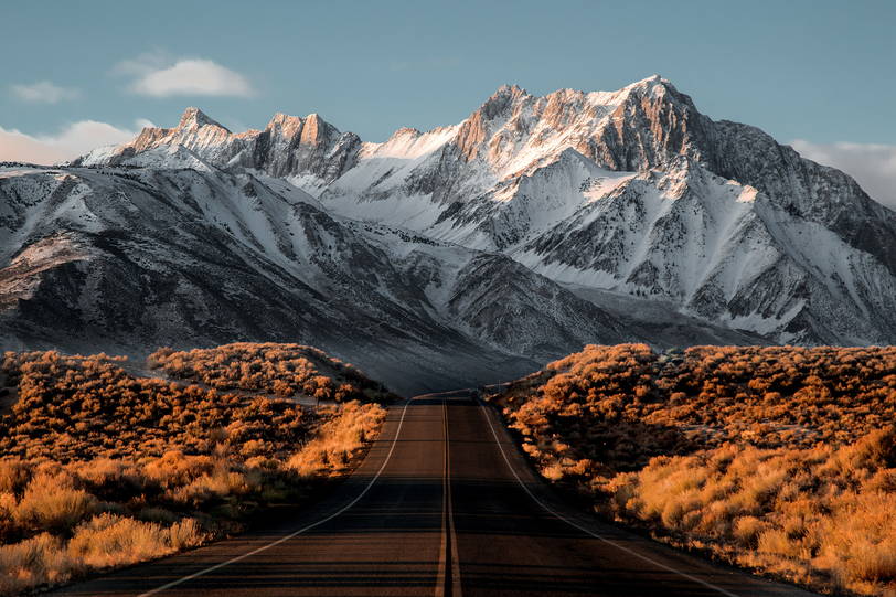 Zoom: jeremy-bishop-527439-unsplash.jpg